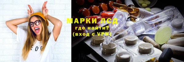 гидра Абаза