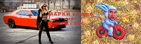 гидра Абаза