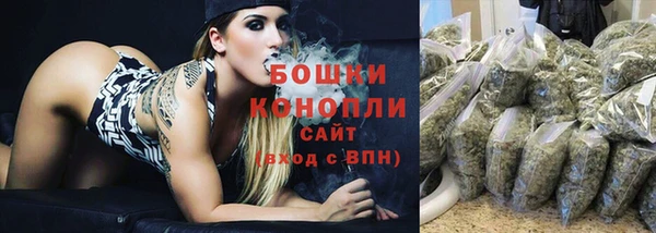 гидра Абаза