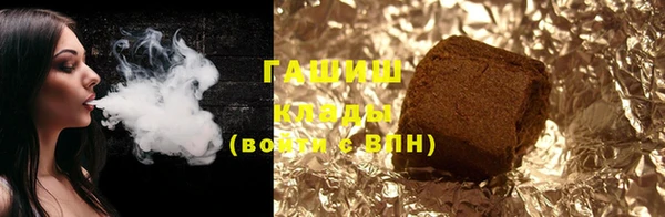 гидра Абаза