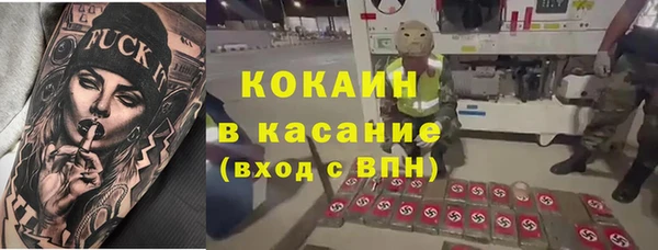 гидра Абаза
