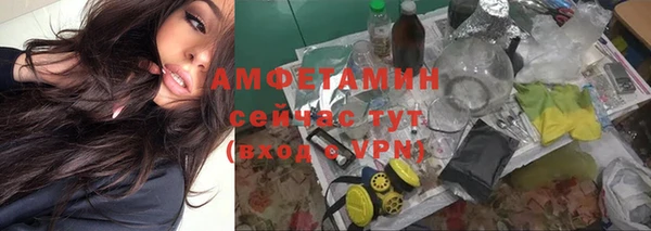 гидра Абаза